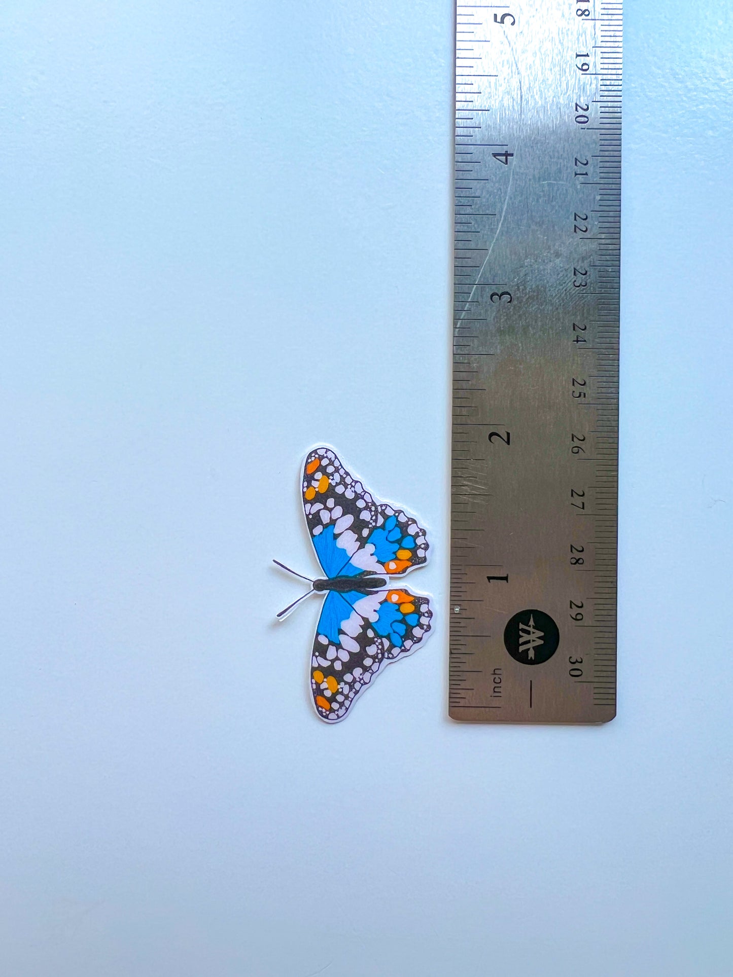 Canadian Blue Butterfly Sticker