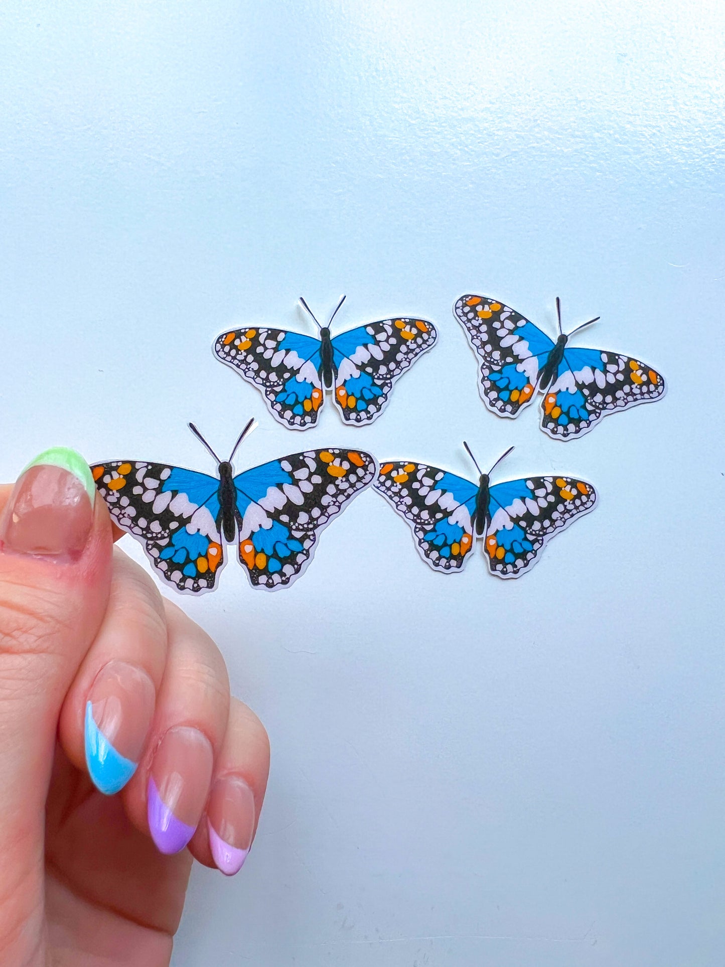 Canadian Blue Butterfly Sticker